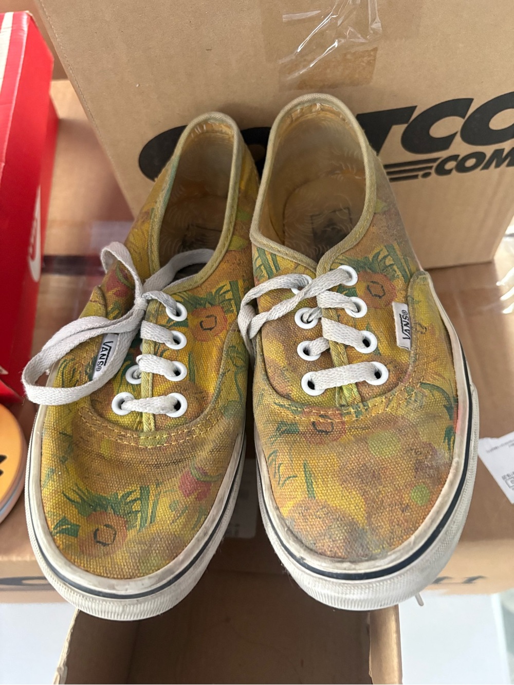 Vans Vincent Van Gogh Collab